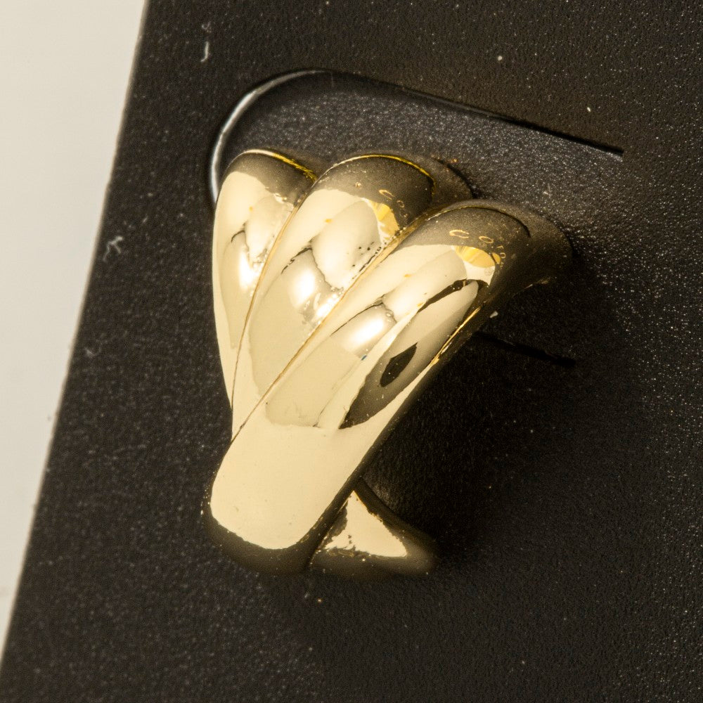 GOLD DIPPED EARRINGS